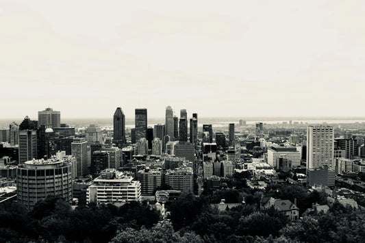 The Best Questions to Ask About Apartment Property Management